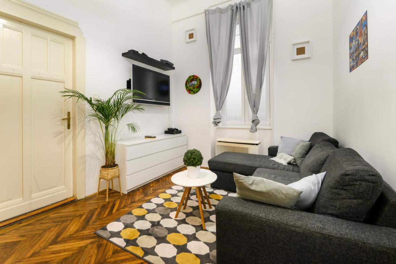 Two Separate Rooms Apartment In City Center, Party District Βουδαπέστη Εξωτερικό φωτογραφία